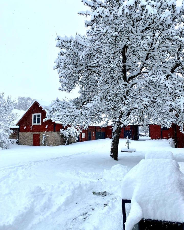 Bo I Egen Stuga Pa Haerlig Oelandsgard Köpingsvik Eksteriør bilde